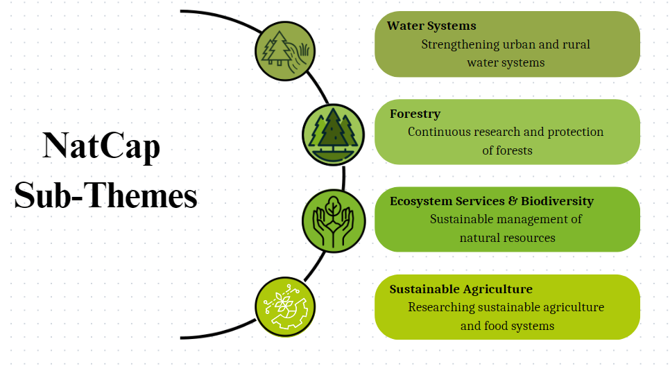 NatCap Sub-Themes Visually Explained