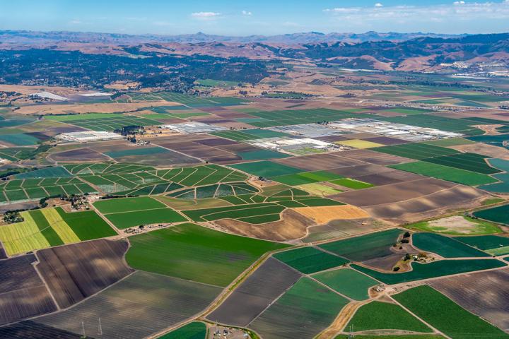 Agricultural land in North Carolina, United States