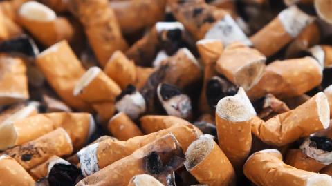 addict-butt-burnt-addiction-ashtray-bad-butts-84430.jpg