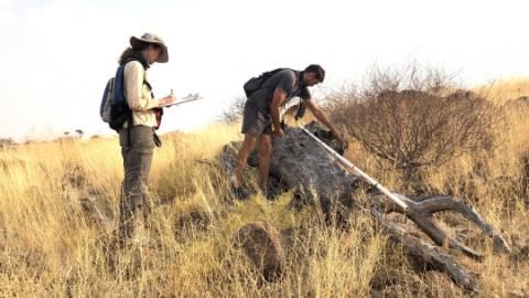 Kevin Coldrey and Wendy Foden doing field work