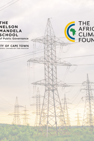 Shaping the future of sustainable industrialisation