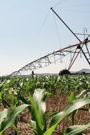 Field with irrigation technology