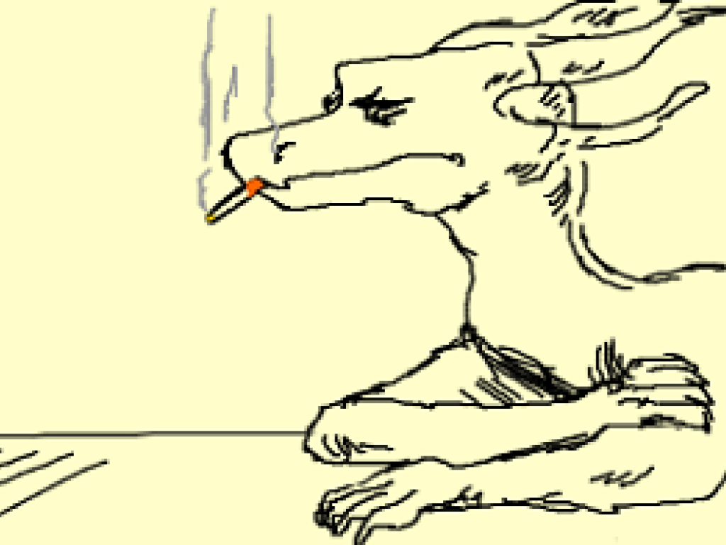 https://drawception.com/player/508936/taaate/