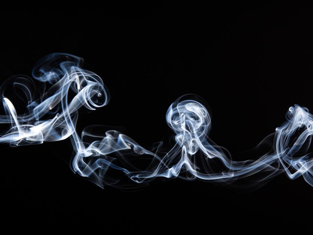 Geert Pieters - Unsplash Geert Pieters - Unsplash