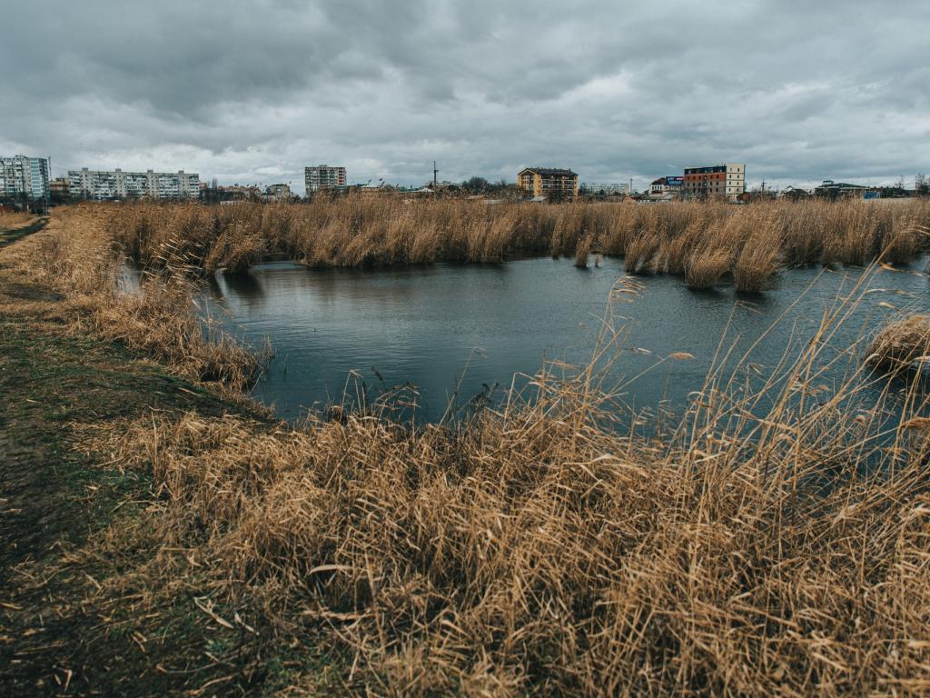 Photo by Stanislav Kondratiev, Pexels Photo by Stanislav Kondratiev, Pexels