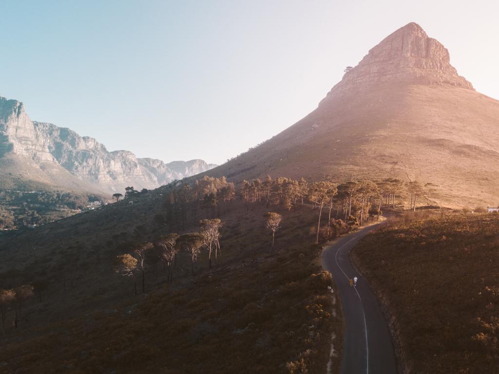 Lion's Head, Photo by Taryn Elliott, Pexels Lion's Head, Photo by Taryn Elliott, Pexels