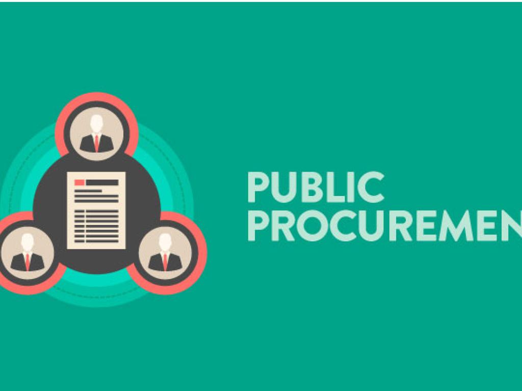 Public Procurement webinar with The Mandela School