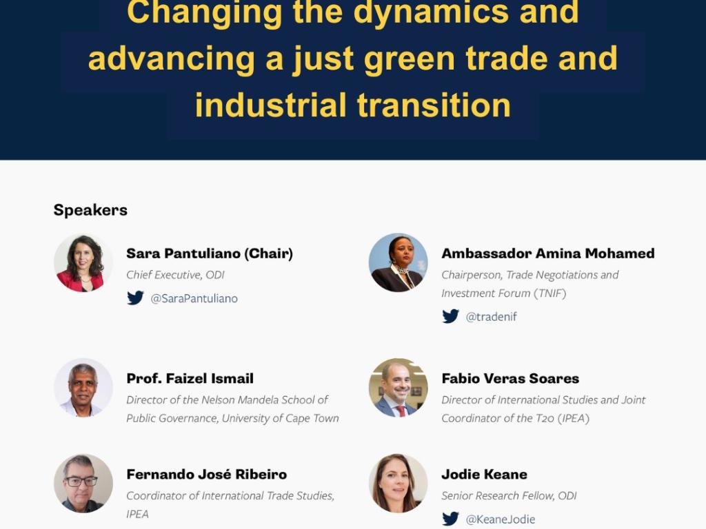 ODI webinar