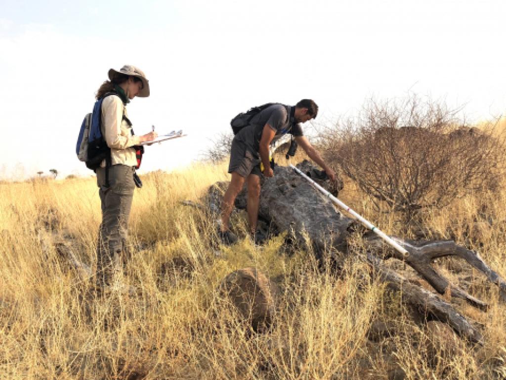 Kevin Coldrey and Wendy Foden doing field work