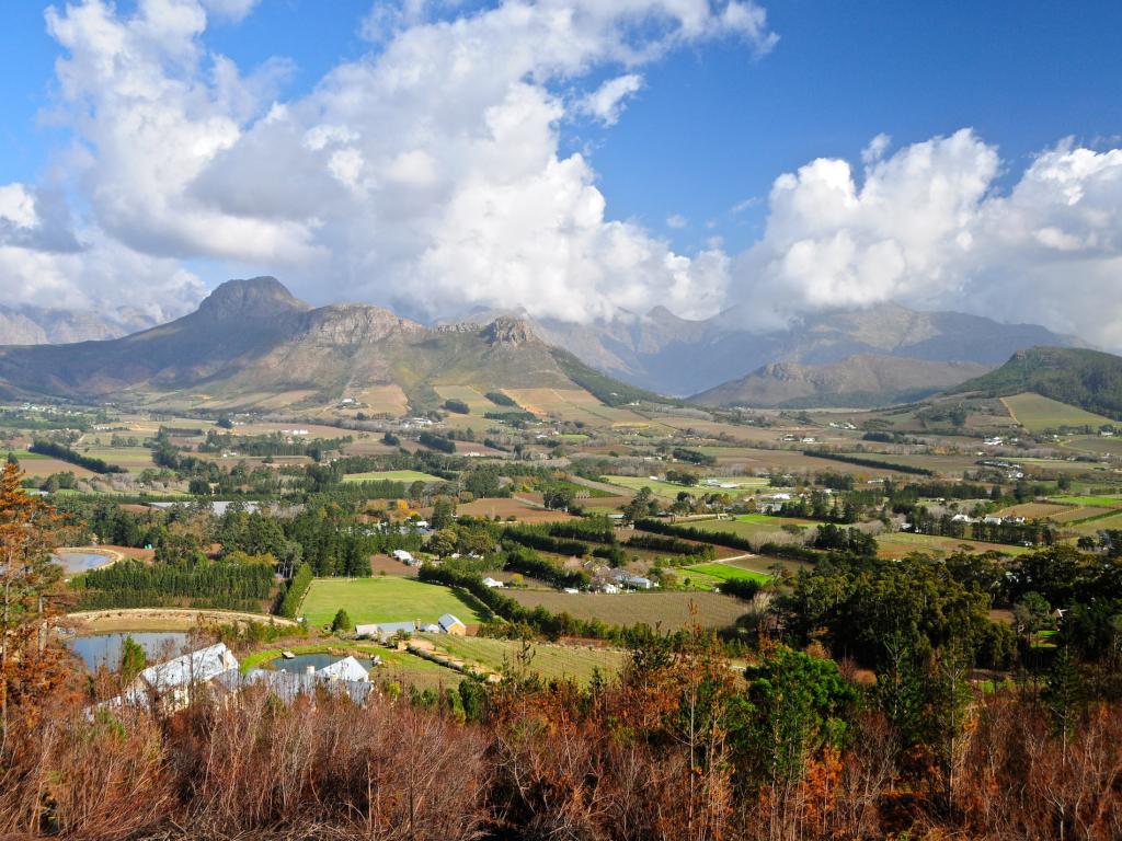 Landscape of the Western Cape