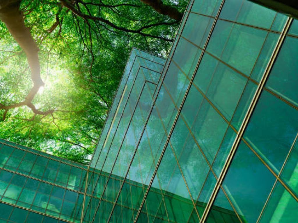 Eco-friendly building in the modern city. Green tree branches with leaves and sustainable glass building for reducing heat and carbon dioxide. Office building with green environment. Go green concept.