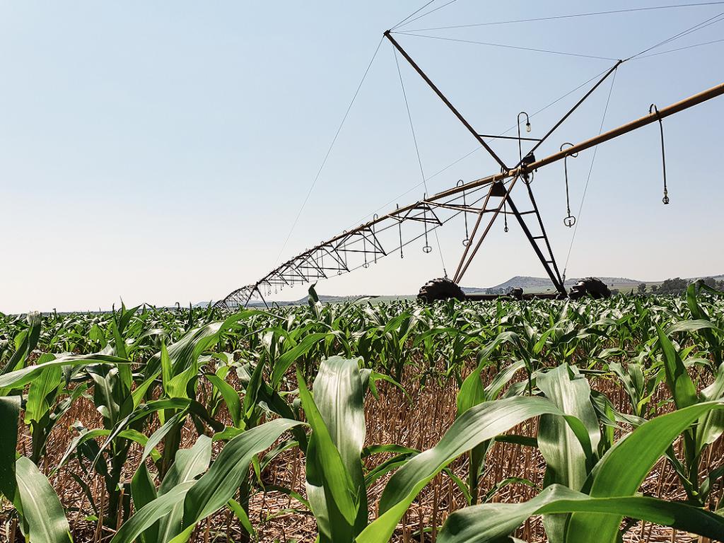 Field with irrigation technology