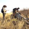 Kevin Coldrey and Wendy Foden doing field work