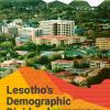 Lesotho DD report cover