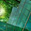 Eco-friendly building in the modern city. Green tree branches with leaves and sustainable glass building for reducing heat and carbon dioxide. Office building with green environment. Go green concept.