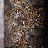 Taylor Flowe image of cigarettes